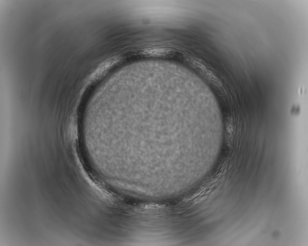 X0000099310734200805161412