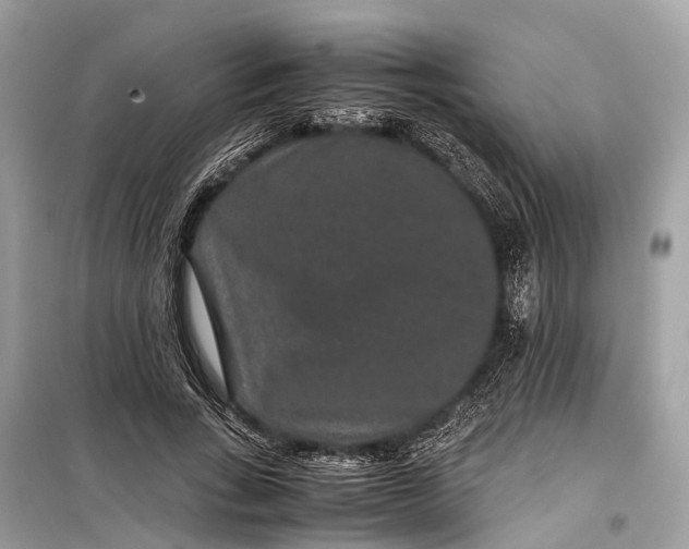 X0000099310735200805161412