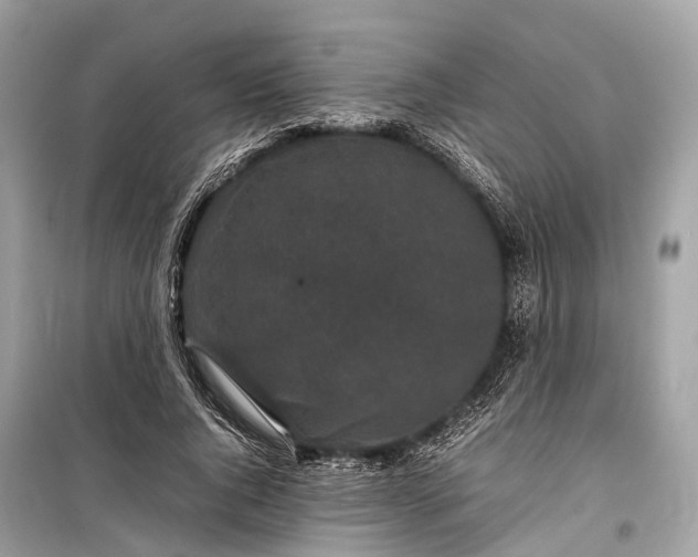 X0000099310736200805161412