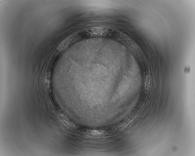 X0000099310737200805161412