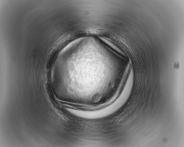 X0000099310738200805161412