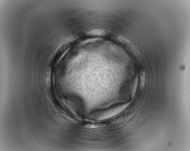 X0000099310739200805161412