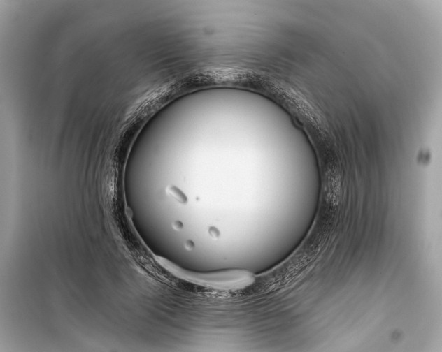 X0000099310740200805161412