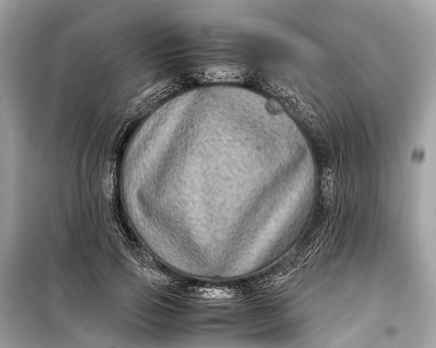 X0000099310741200805161412