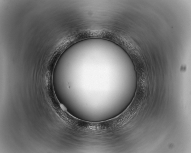 X0000099310744200805161412