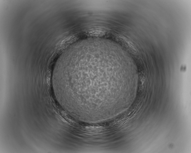 X0000099310745200805161412