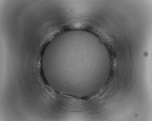 X0000099310746200805161412