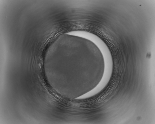 X0000099310747200805161412