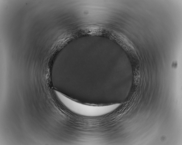 X0000099310748200805161412