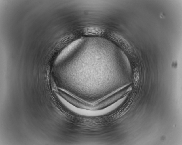 X0000099310749200805161412