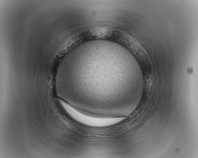 X0000099310750200805161412