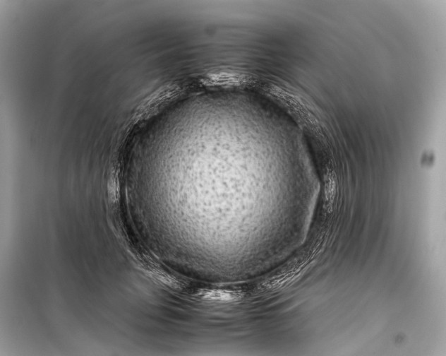 X0000099310751200805161412