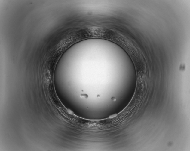 X0000099310752200805161412