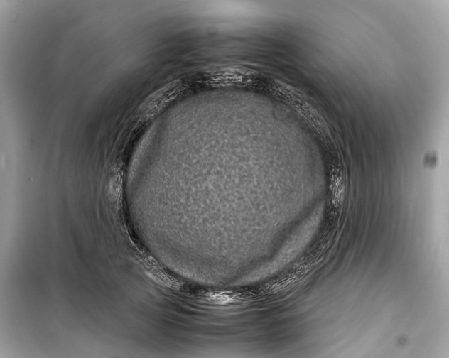 X0000099310753200805161412