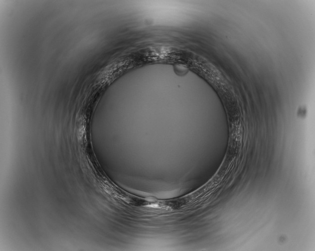 X0000099310754200805161412