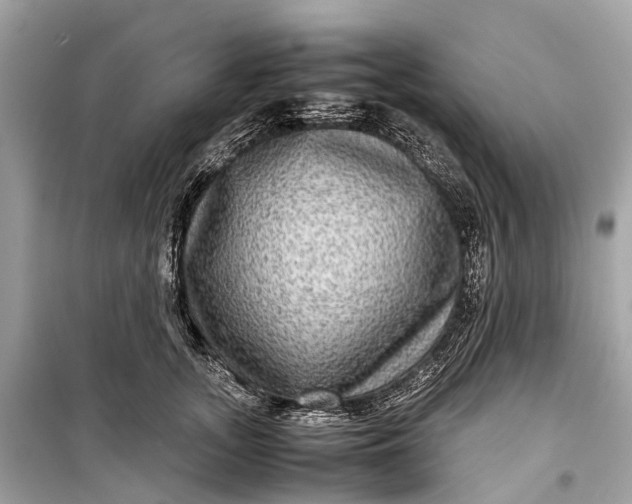 X0000099310755200805161412