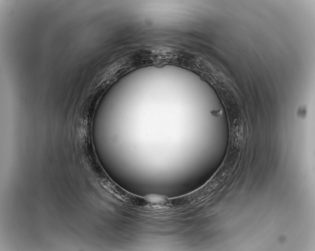 X0000099310756200805161412