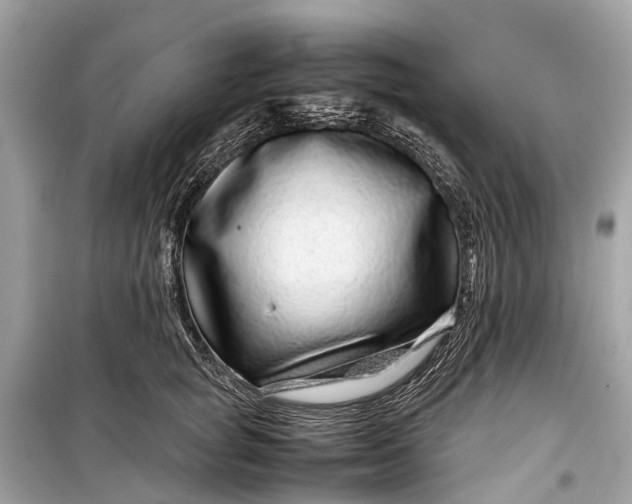 X0000099310757200805161413