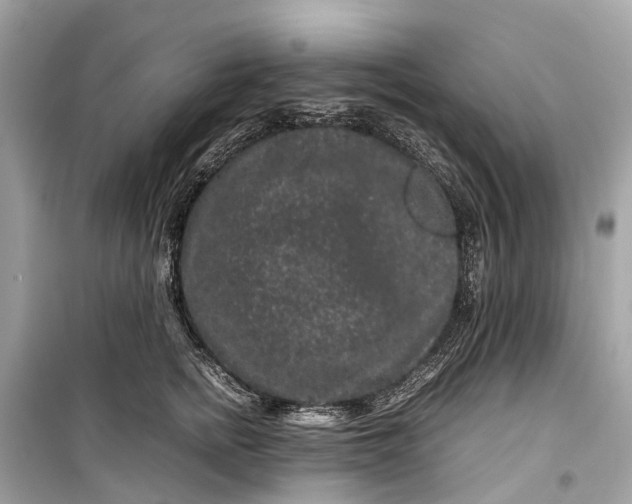 X0000099310758200805161413