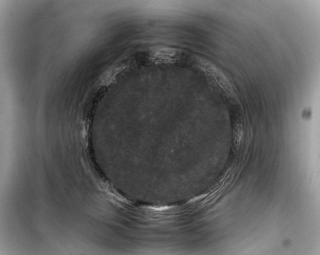 X0000099310759200805161413