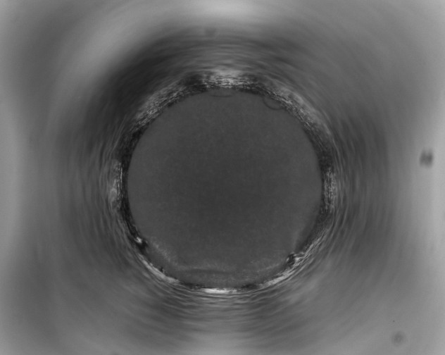 X0000099310760200805161413