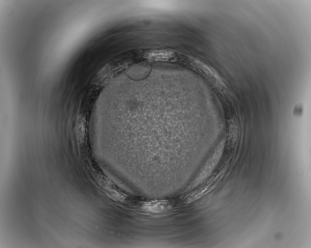 X0000099310761200805161413