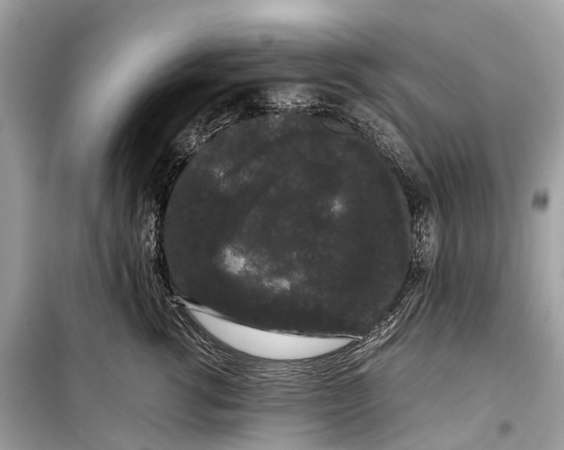 X0000099310762200805161413