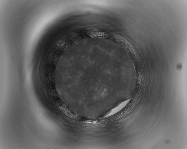 X0000099310763200805161413