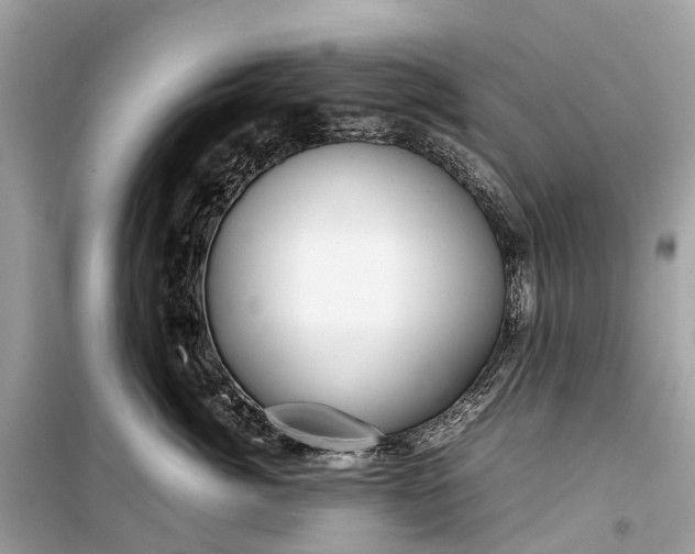 X0000099310764200805161413