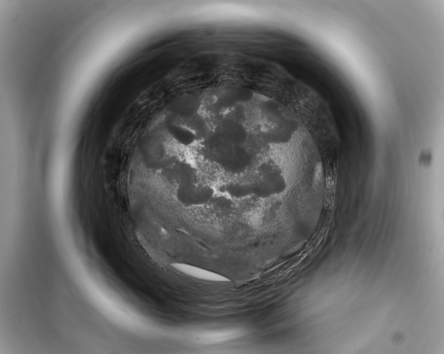 X0000099310765200805161413