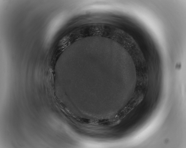 X0000099310766200805161413