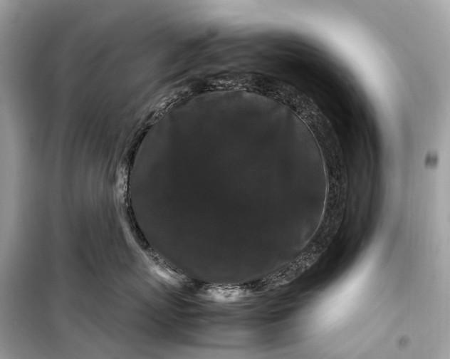 X0000099310767200805161413