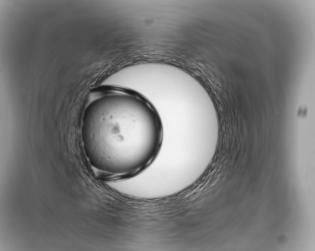 X0000099310769200805161412