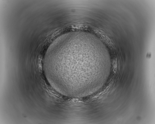 X0000099310770200805161412