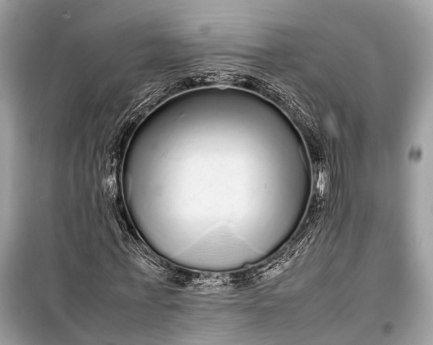 X0000099310771200805161412