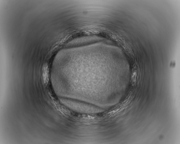 X0000099310772200805161412