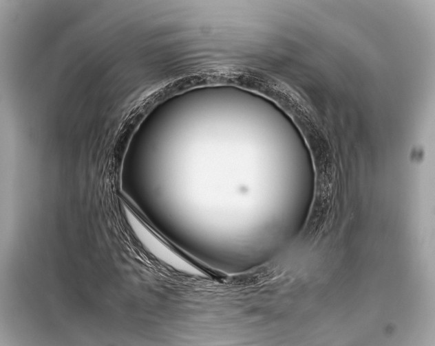 X0000099310773200805161412