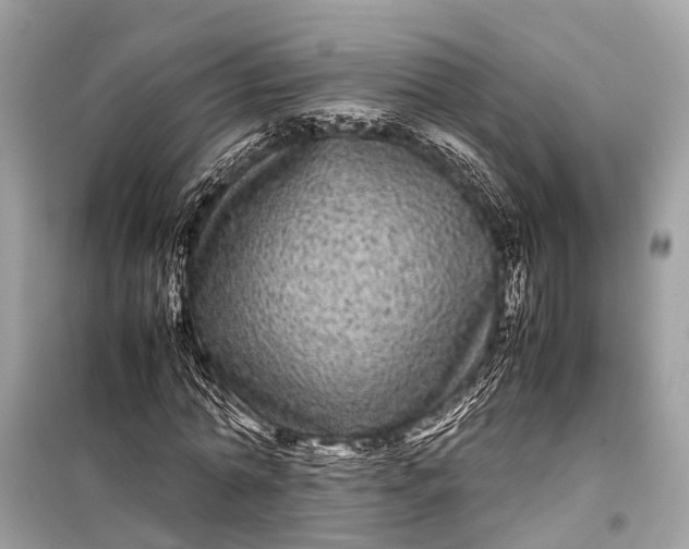 X0000099310774200805161412