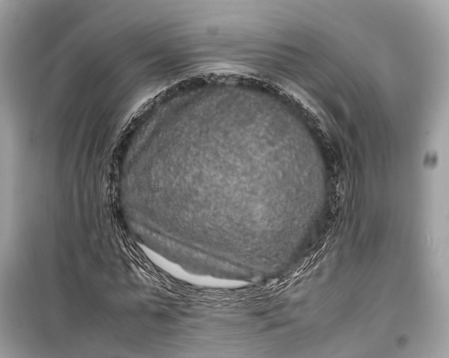 X0000099310775200805161412