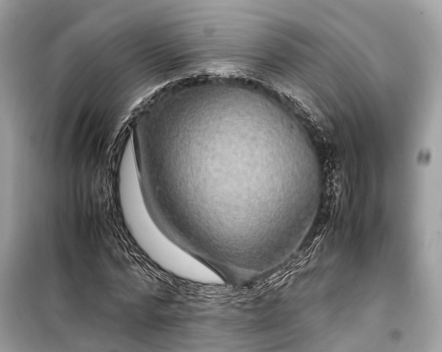 X0000099310776200805161412