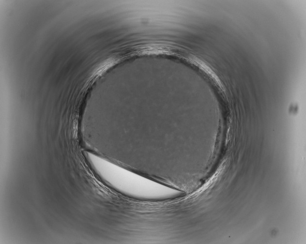 X0000099310777200805161412