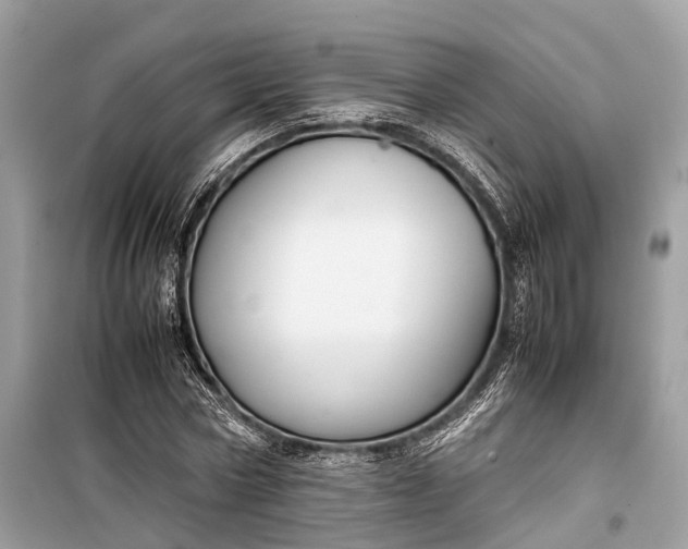 X0000099310778200805161412