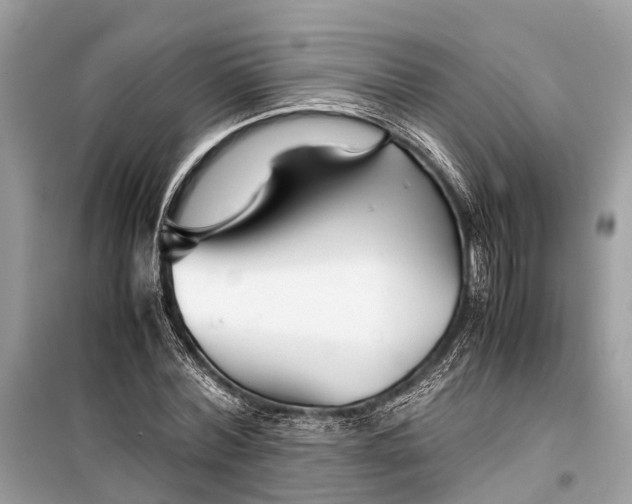 X0000099310780200805161412