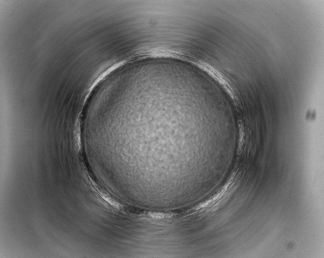 X0000099310782200805161412