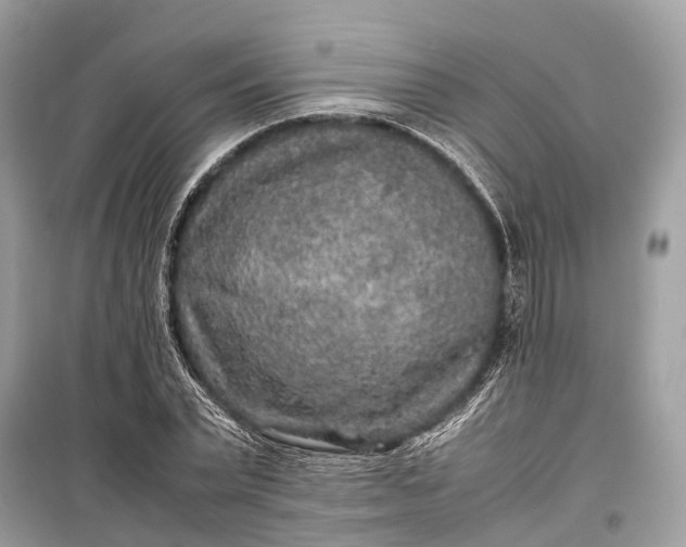 X0000099310783200805161412