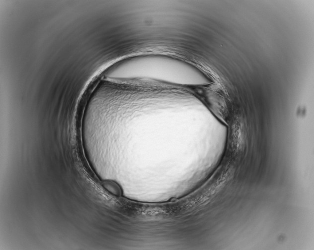 X0000099310784200805161412