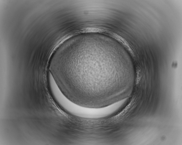 X0000099310786200805161412