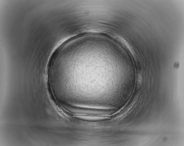 X0000099310787200805161412