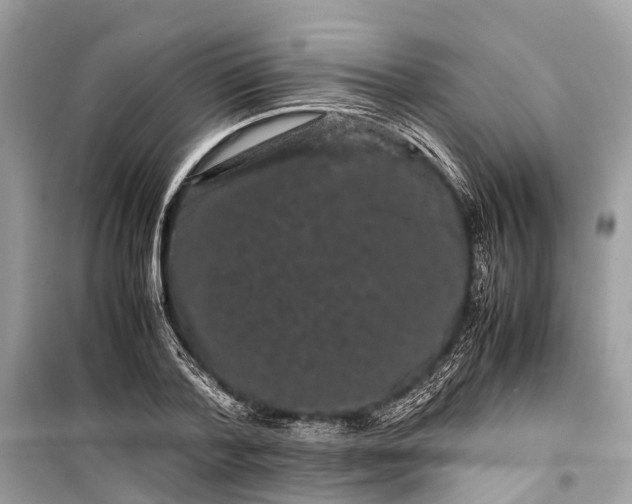 X0000099310788200805161412