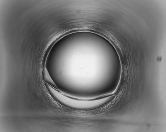 X0000099310789200805161412